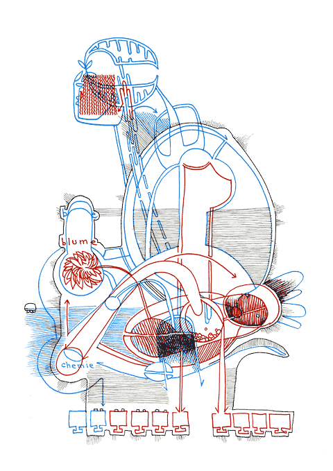 Hannes Kater - drawing from 01/01/2008