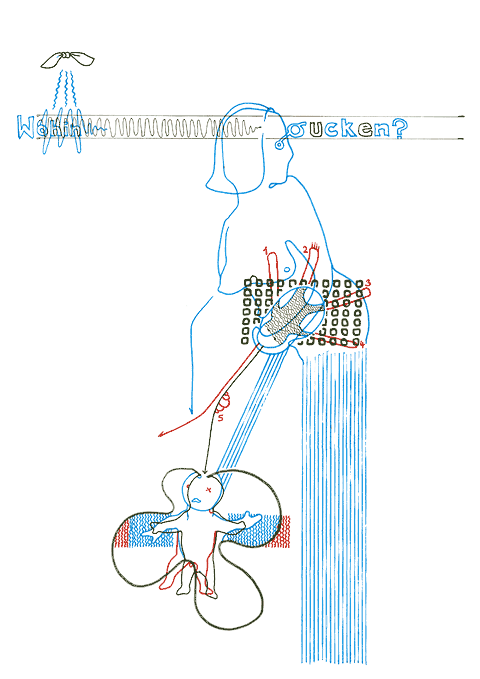 Hannes Kater - drawing from 01/18/2008