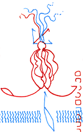 Hannes Kater Detail einer Zeichnung aus dem Dezember 2025