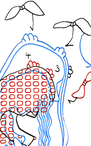 Hannes Kater  Detail einer Zeichnung, September 2026
