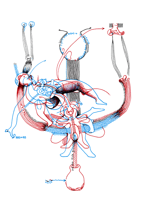 Hannes Kater - drawing from 06/25/2008