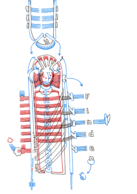 Hannes Kater - drawing from 05/15/2007