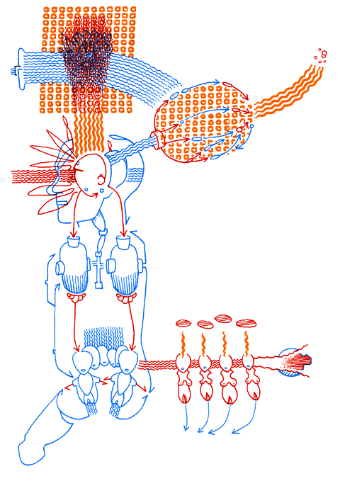 Hannes Kater - drawing from 12/29/2005