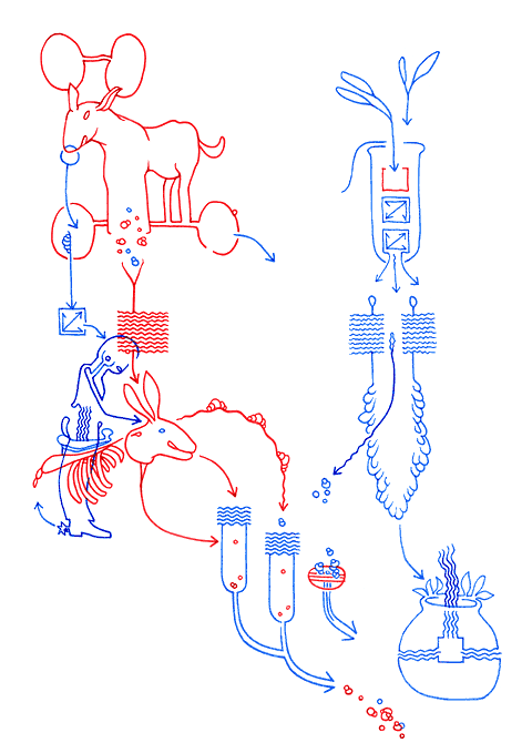 Hannes Kater - drawing from 09/04/2005