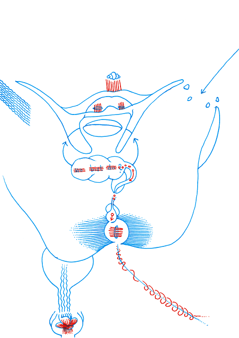 Hannes Kater - drawing from 01/10/2005