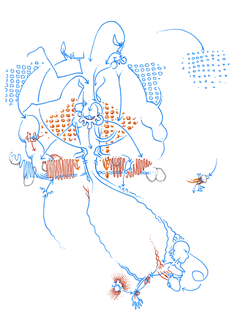 Hannes Kater - drawing from 07/21/2004