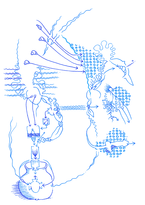 Hannes Kater - drawing from 07/30/2004