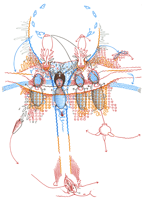 Hannes Kater - drawing from 04/02/2004