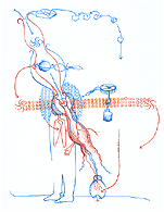 Hannes Kater: Auftragszeichnung Letter Nr. 22_1 - 151x195 Pixel